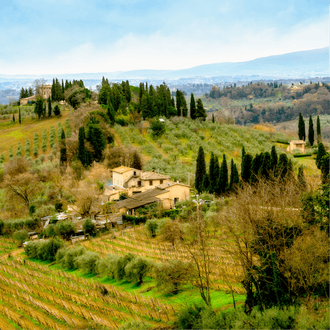 Head out of the city into the rolling Tuscan countryside
