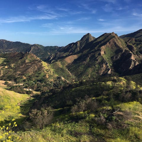 Hike through the Santa Leo Carrillo State Park, just a twenty-minute walk away