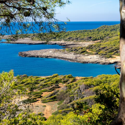 Visit the nature reserve and protected marine area of Torre Guaceto on the Adriatic coastline