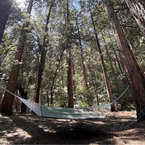 Read a book in your hammock under dappled light