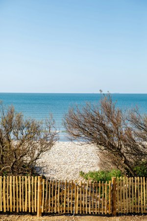 Pebbles & Wood image 8