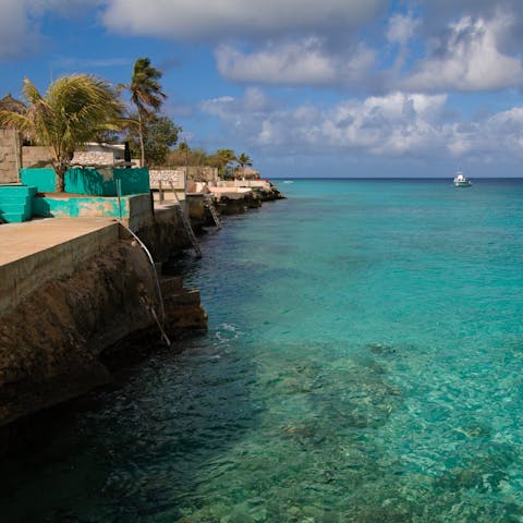 Venture along the coastline of Bonaire, just a stone's throw away