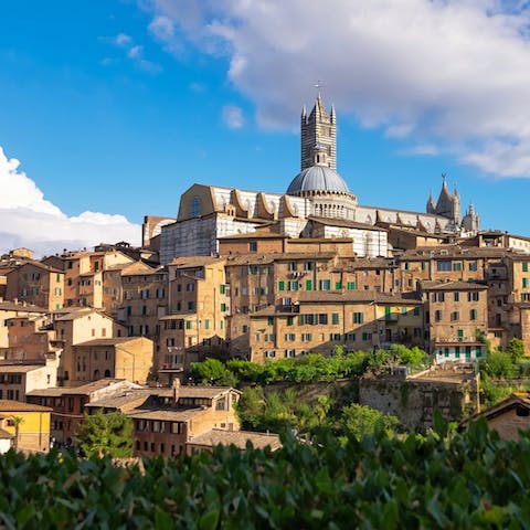 Visit the stunning city of Siena on a day trip, less than an hour's drive away
