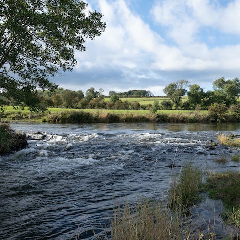 Fish in the private riverbank behind the house – your host can organise a fishing lesson