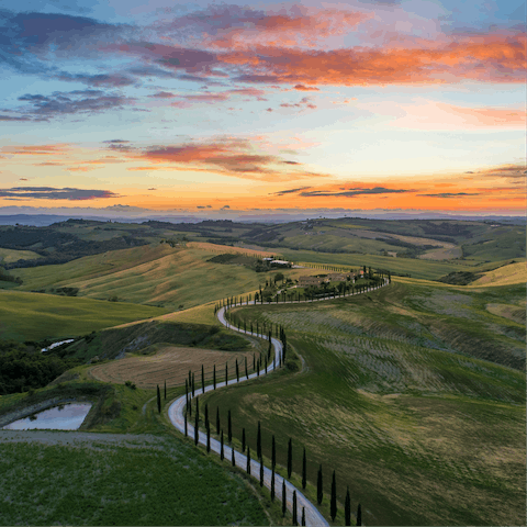 Stay on the coast of beautiful Tuscany and explore the vineyards