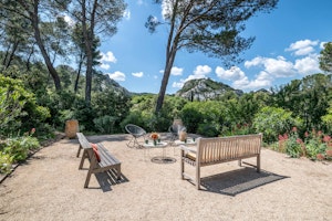 Alpilles Blossoms image 9