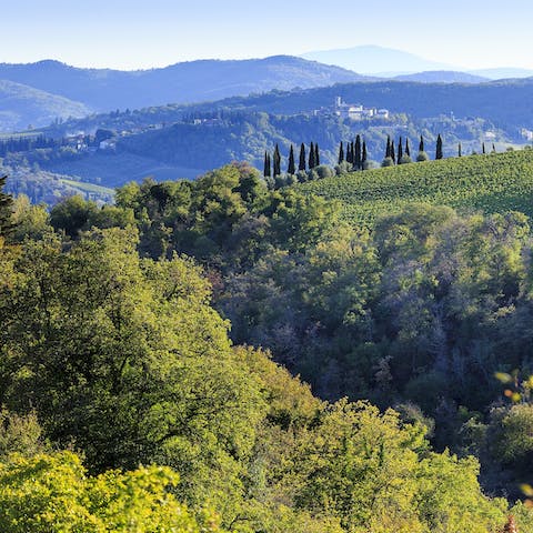 Discover the rolling green hills, picturesque squares and delicious wine of Chianti