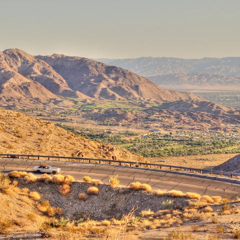 Explore the Coachella Valley Preserve, a short drive away