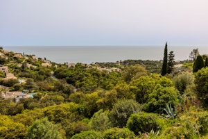 A Riviera Story image 5