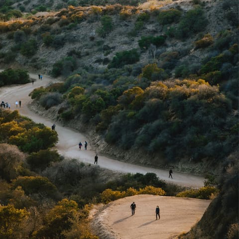 Take a five-minute drive to Griffith Park and hike through the hills to the Obersvatory