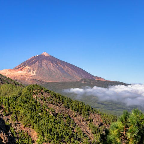 Discover the stunning beauty of Mount Teide by cable car or foot