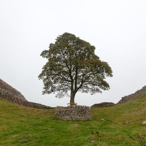 See the Roman remains of Hadrian's Wall and visit Northumberland National Park