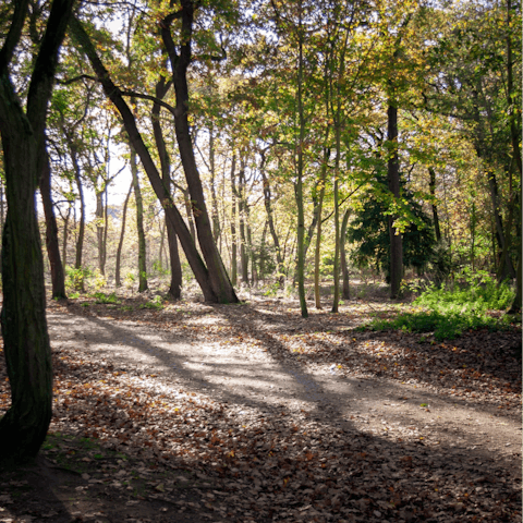 Chill out in the Bois de Boulogne – it's a fifteen-minute walk away