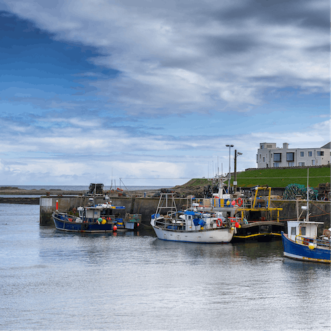 Explore the Northumberland Coast, you're just an eighteen-minute walk from Seahouses