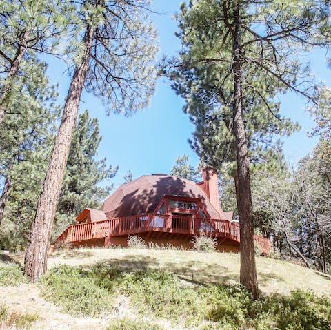 Stay secluded in the trees, yet just a five-minute walk into Idyllwild town