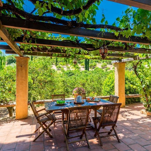 Enjoy the authentic taste of local life with traditional tapas under the pergola