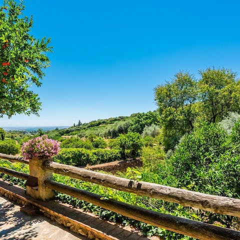 Immerse yourself in the Sierra de Hornachuelos Natural Park