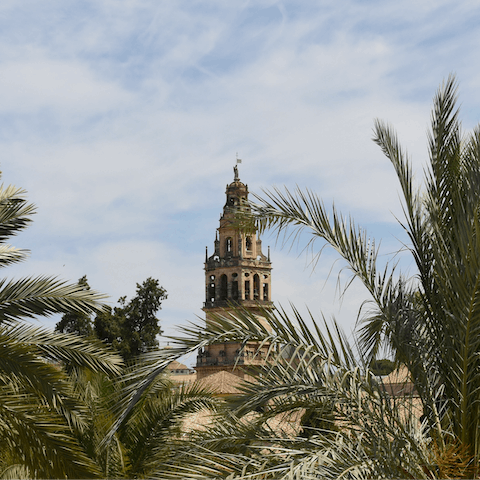 Take a day trip to the majestic city of Córdoba – less than an hour's drive away