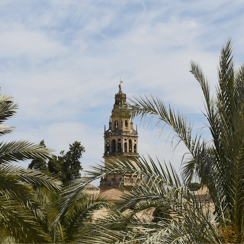 Take a day trip to the majestic city of Córdoba – less than an hour's drive away