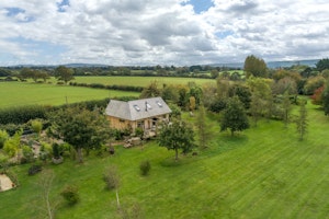 The White Horse image 10