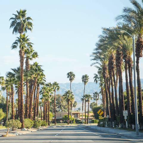 Soak up the unique atmosphere of the Coachella Valley, right on your doorstep
