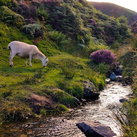 Explore the unspoilt countryside in the nearby Shropshire Hills AONB