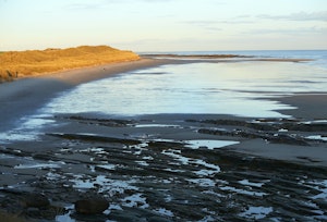 The Golden Shores image 13