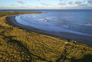 The Golden Shores image 7