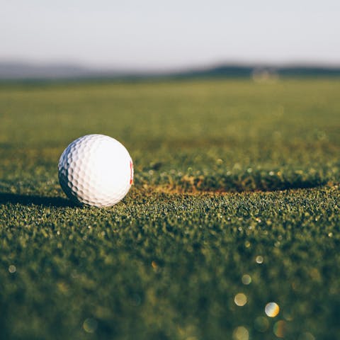 Grab your clubs and hit the green at one of the many golf courses nearby