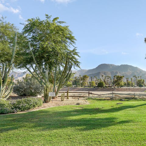 Stay in a mid-century home right on the edge of the Tamarisk Country Club