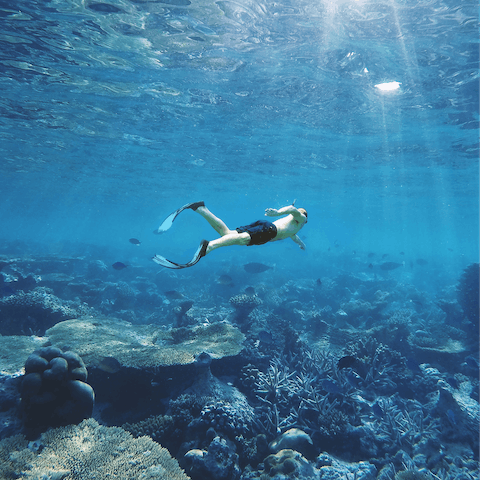 Go snorkelling to discover the underwater realms