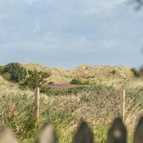 Put on your walking boots and explore the wild and beautiful coastline