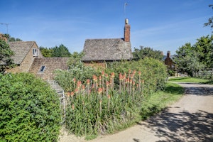 The Morris Dancer image 6