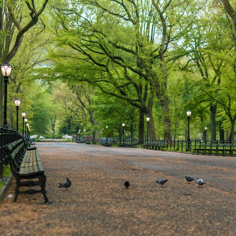 Grab a coffee and stroll through Central Park, a short walk away