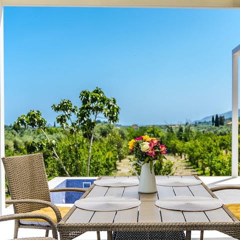 Serve brunch on the sun-soaked terrace with views of the owner's allotment