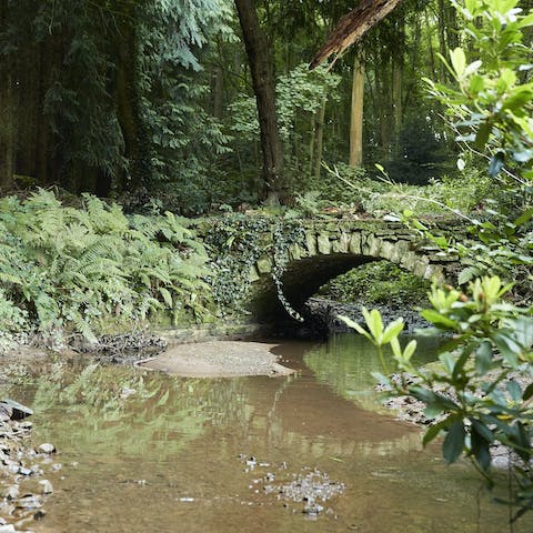 Cross the stream and head into the woodland to explore
