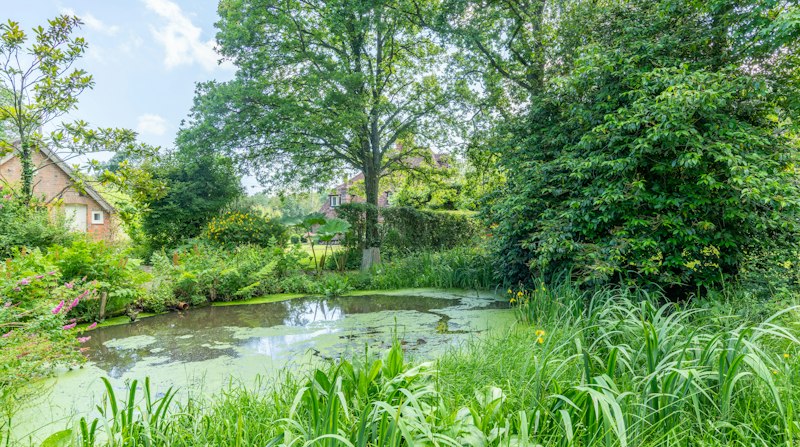Foxglove Cottage additional image