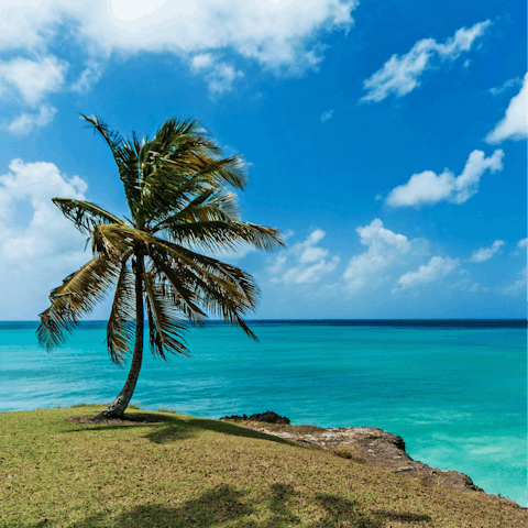 Discover the beauty of Barbados from St. James