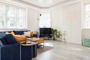 Morning Adieu image 10