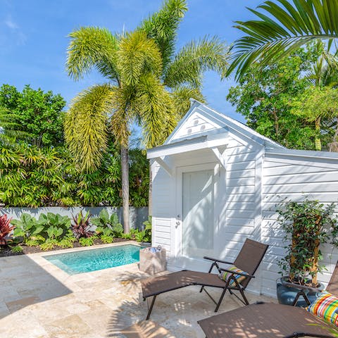 Dip your toes in the rear garden's cocktail pool