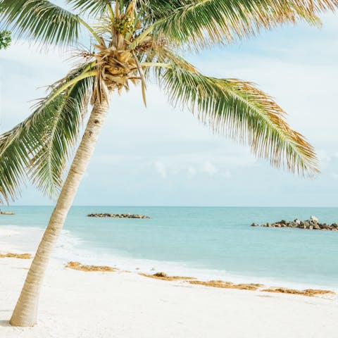 Spend the day at one of Key West's picturesque beaches