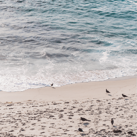 Spend leisurely days at La Jolla Shores Beach, a six-minute walk away