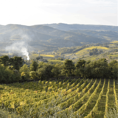 Explore Puglia's gorgeous countryside, right on your doorstep