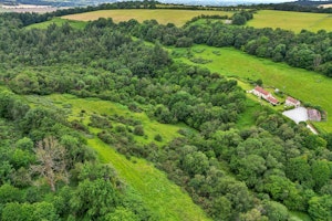 Light on the Moors image 14