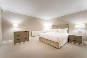 Regal & Quiet image 11