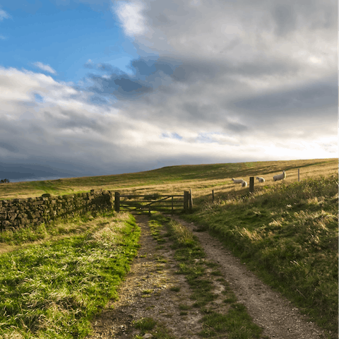 Explore the North York Moors National Park, right on your doorstep