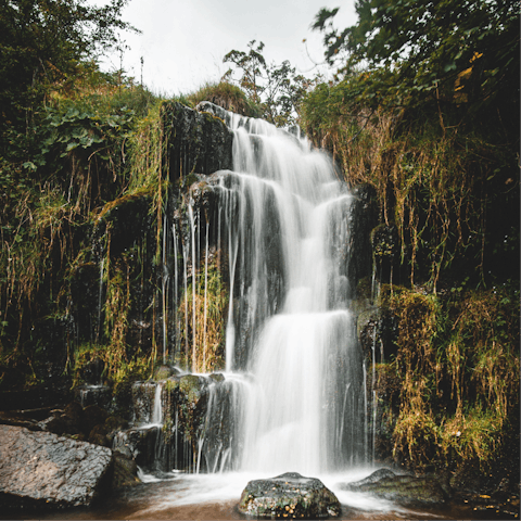 Drive ten minutes to the White Scar Caves and Waterfalls Trail