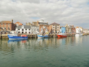 Weymouth Wonder image 13