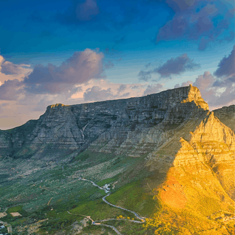 Ascend the majestic Table Mountain by cable car, it's a short drive away