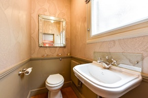 The Westminster image 13